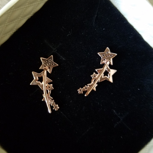Rose Gold Micro Pave Star Crawler Earrings - Picture 5 of 7
